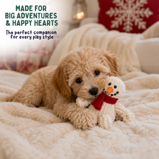 A fluffy light brown puppy lies on a cream sherpa blanket, holding a small white knitted snowman toy with a red scarf. The background shows a cozy indoor setting with a red pillow featuring a white snowflake and soft warm lighting.