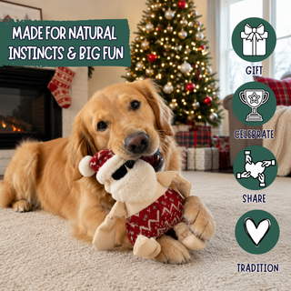 A golden retriever lies on a carpeted floor in a living room, holding a plush dog toy with a Santa hat and red knit outfit. A Christmas tree, fireplace, and stockings are visible in the background, with circular icons and text on the right reading 'Made for Natural Instincts & Big Fun' and 'Gift, Celebrate, Share, Tradition'.