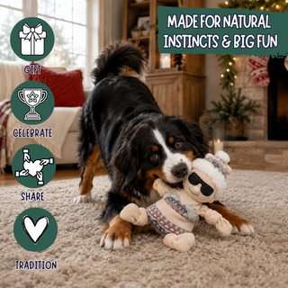 A Bernese mountain dog plays with a plush holiday-themed dog toy in a cozy living room. The image includes text overlays reading 'MADE FOR NATURAL INSTINCTS & BIG FUN' and four circular icons labeled 'GIFT', 'CELEBRATE', 'SHARE', and 'TRADITION'.
