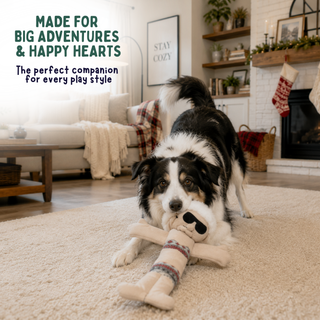 A black, white, and tan dog lies on a cream rug in a cozy living room, holding a plush toy with bathing suit and sunglasses. Text on the top left reads 'MADE FOR BIG ADVENTURES & HAPPY HEARTS' and 'The perfect companion for every play style.