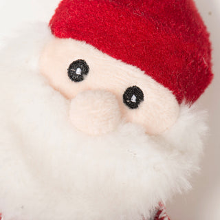 Close up of Santa cookie's embroidered facial details.