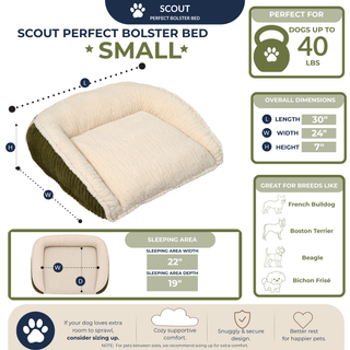 Scout Perfect Bolster Dog Bed