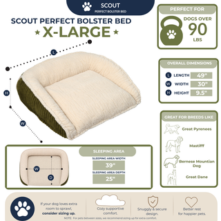 Scout Perfect Bolster Dog Bed