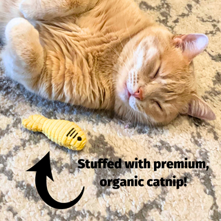 Cat laying next to cat toy with text "Stuffed with premium organic catnip!"