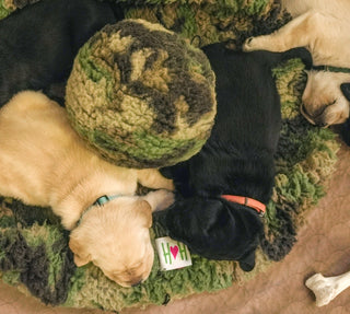 Four labs laying with fluffy green camo HuggleFleece® ball plush dog toy.