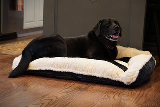 Black lab laying on steel blue Scout Perfect Bolster Bed