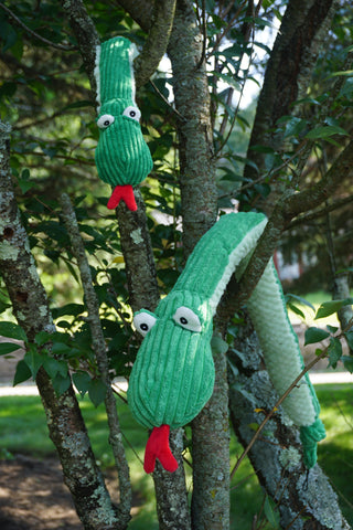 Picture of two snakes, the small size and the large size, hanging on a tree outside.  they are both facing towards the ground.  