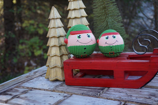 Lifestyle of large and small Eli Elf Ruff-Tex on toy sled.