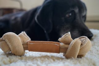 Dog laying next to HuggleHide Naturals tanned water buffalo knotted bone. 