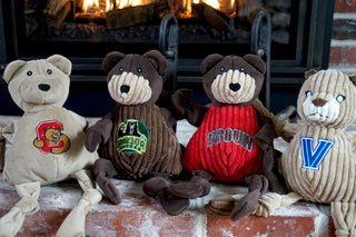Set of four University mascots durable plush corduroy dog toys with knotted limbs: Cornell, Baylor, Brown, and Villanova.