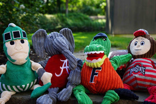 Group of four university mascot durable corduroy plush dog toys with knotted limbs: Michigan University mascot, Alabama University mascot, Florida State mascot, and Ohio State mascot.