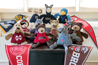 Group of eleven University Mascot durable plush corduroy dog toys and University pennants sitting on table: Navy, Army, Air Force, Ohio, Kansas, Cornell, NC State, Mississippi, Brown, SMU, and Baylor.