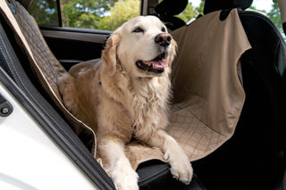 Golden Retriever laying on TuffutLuxx® hammock style vehicle protector in cream color in back seat of car.