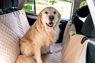 Golden Retriever sitting on TuffutLuxx® hammock style vehicle protector in cream color in back seat of car.