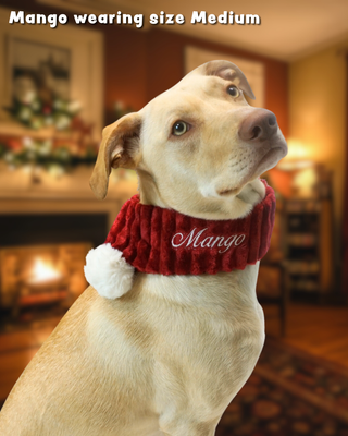Dog wearing a HuggleHounds Holiday red scarf with 'Mango' branding in a home setting