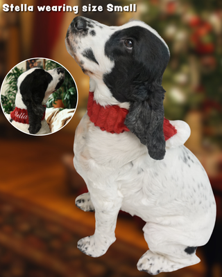 Black and white dog with a HuggleHounds Holiday red scarf, labeled 'Stella wearing size Small'.