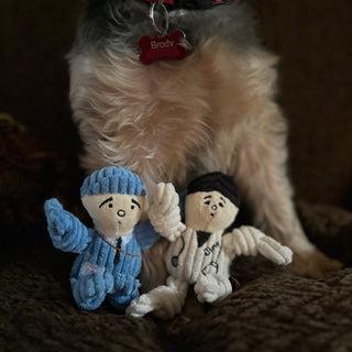 Mail carrier and veterinarian tiny plush corduroy dog toys sitting in front of small dog.