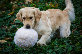 HuggleFleece® Plush Ball Dog Toy