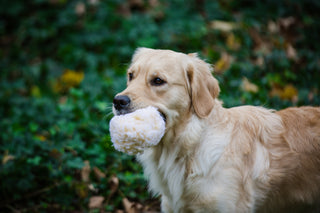 HuggleFleece® Plush Ball Dog Toy