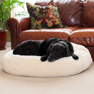 Black furred lab dog laying on natural colored dog bed. 