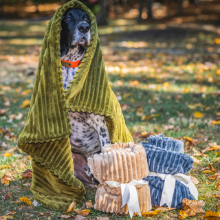 A black-and-white furred dog with black polka dots sitting on green grass, surrounded by three cozy corduroy dog blankets. A green blanket is wrapped around the dog, while a beige natural-colored blanket and a steel-colored blanket lie next to it.