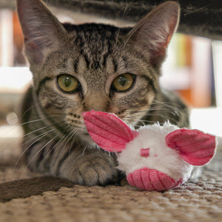 Cat laying with pink dust bunny cat toy underneath couch.