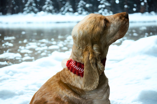 Holiday Huggle Scarf