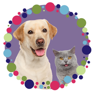 Heads of yellow lab and grey cat inside light purple circle outlined with colorful polka dots.