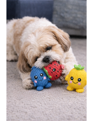 Fruitie Cuties Foodies Ruff-Tex, 3 pack