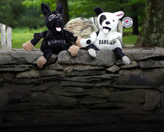 A banner featuring two plush dog toys: one with black fur and the other with white fur and black spots. In between the toys is an army camouflage pattern with various shades of green, green-brown, and black. Both toys are sitting on small pebbles, with a stacked stone wall in the background.