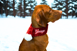 Holiday Huggle Scarf