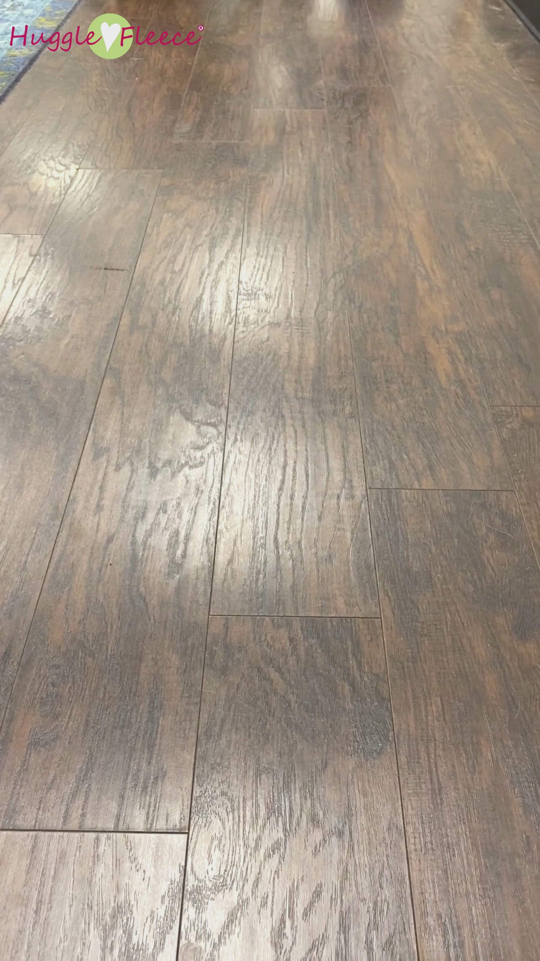 50 second video showcasing dogs playing with the Treat Trap. 