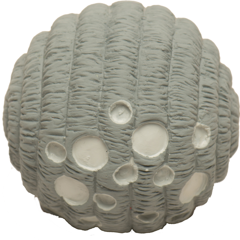 Astro Knot tie and Luna Ruff Tex® Space Toy Sets