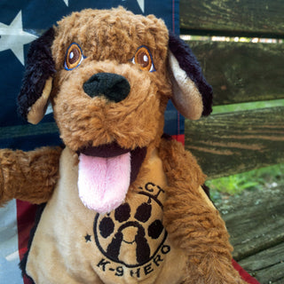 Lifestyle picture of Project K-9 Hero Flash Knottie. Pixtured in front of a wooden bench, and American flag.