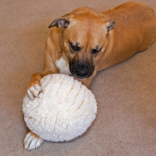 Brown dog playing with large natural colored HuggleFleece® plush ball dog toy.