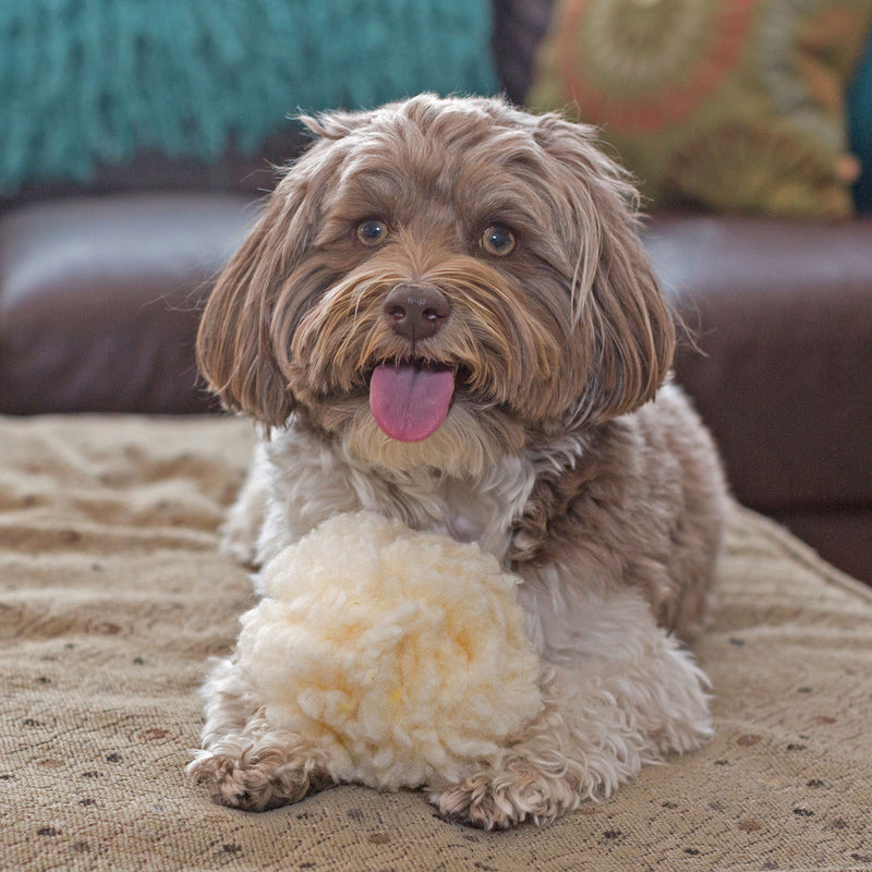 The Fleecee Roller Snuffle Ball Has Arrived! - Beyond The Q Dog Sports