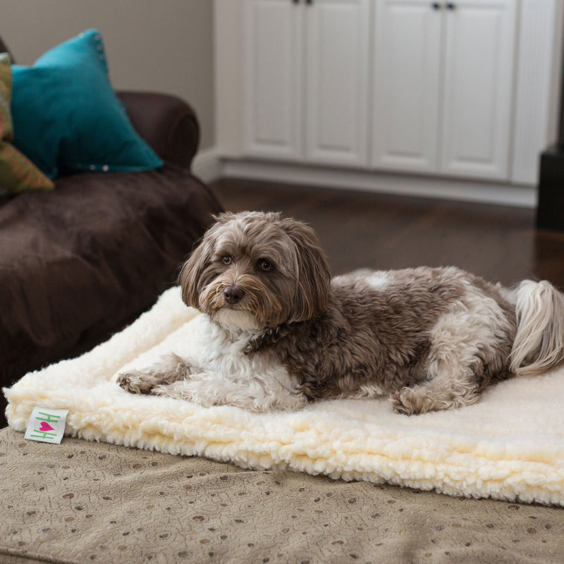 HuggleHug™ Calming Dog Rug Bed - Great Gear And Gifts For Dogs at