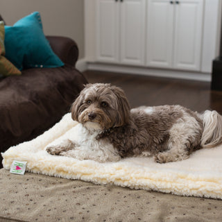 Small dog laying on natural cream colored HuggleFleece® mat.