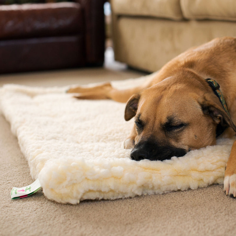 Hugglehounds Fleece Dog Mat Small (23x 30)