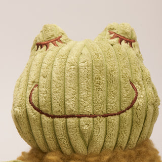 Close up image of frog shaped plush dog toy smiling face. 