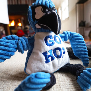 Lifestyle of John Hopkins University Jay the Blue Jay mascot plush corduroy dog toy with blue head, blue knotted wings, black knotted legs, blue feet, white belly with "GO HOP" embroidered on chest, black beak, and black mask around big white eyes with tough expression.