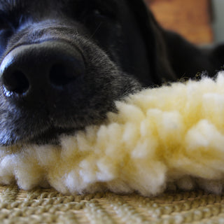 Close up of black lab sleeping on natural colored HuggleFleece® mat to show texture.