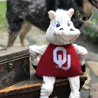 University of Oklahoma Sooner plush dog toy: has white fur, white hair, blue eyes, white pupils, white furred plush-out nose and lips, black nose, beige lips, has on a red shirt with university logo, black hands and feet, and knotted limbs.
