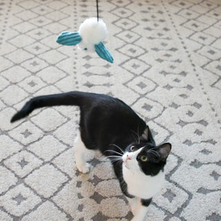 Black and white cat looking up at teal blue dust bunny cat toy dangling in air.