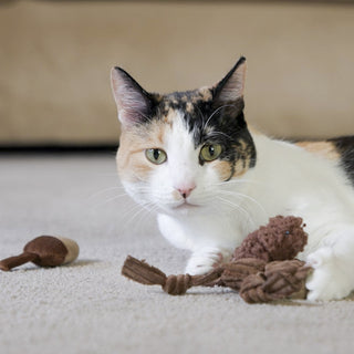 Calico cat laying with catnip stuffed, squirrel cat toy and acorn.