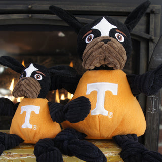 Set of two University of Tennessee Smokey Bluetick Coonhound durable plush dog toys sitting next to each other in large and small