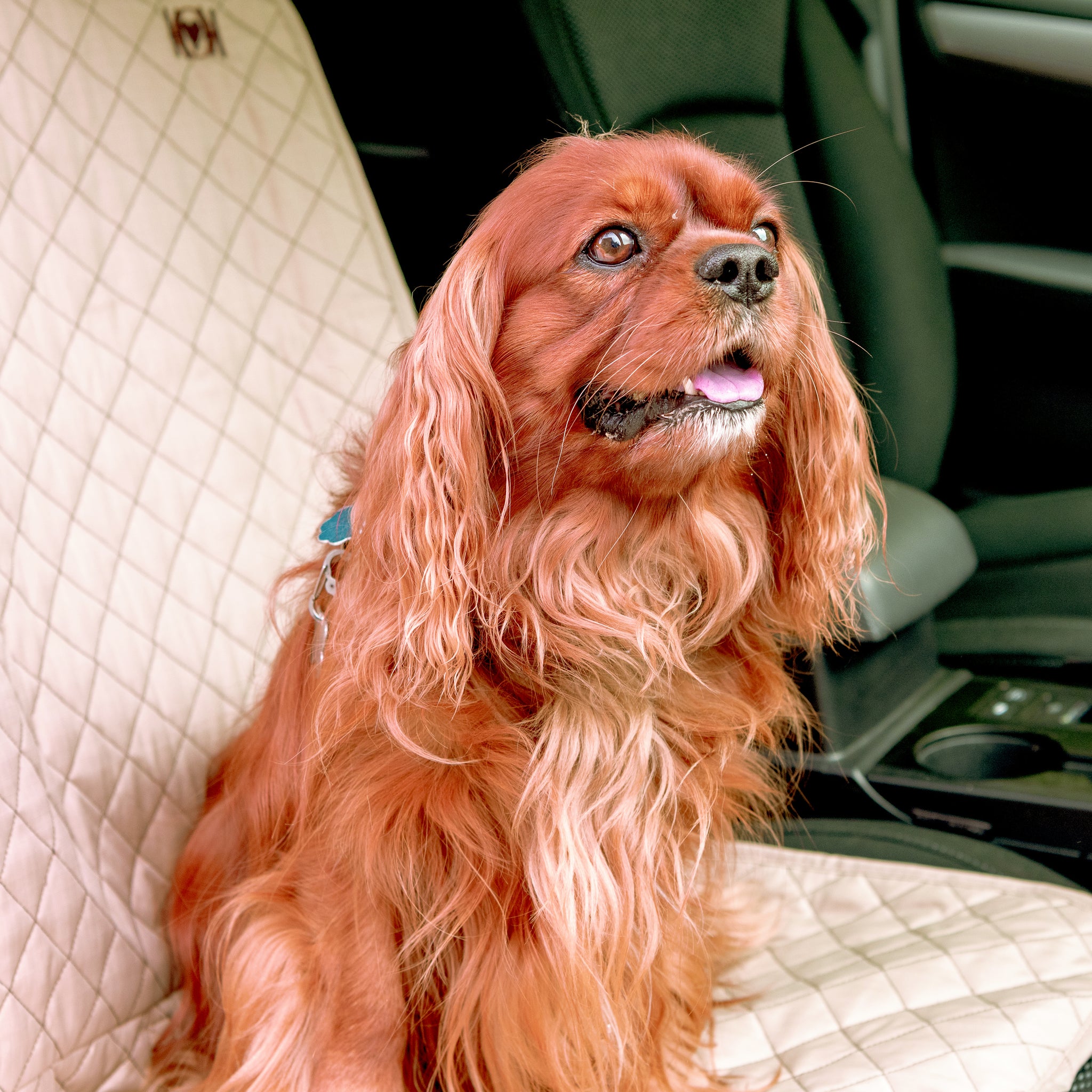 TuffutLuxx® Vehicle Protectors for Travel