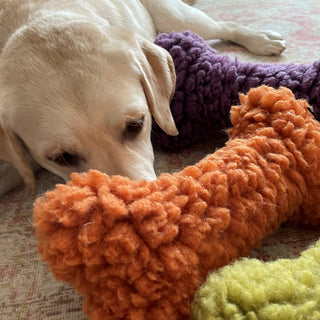 White dog on white and red carpet, chewing on the orange plush dog bone, with the orange and purple bone next to it.